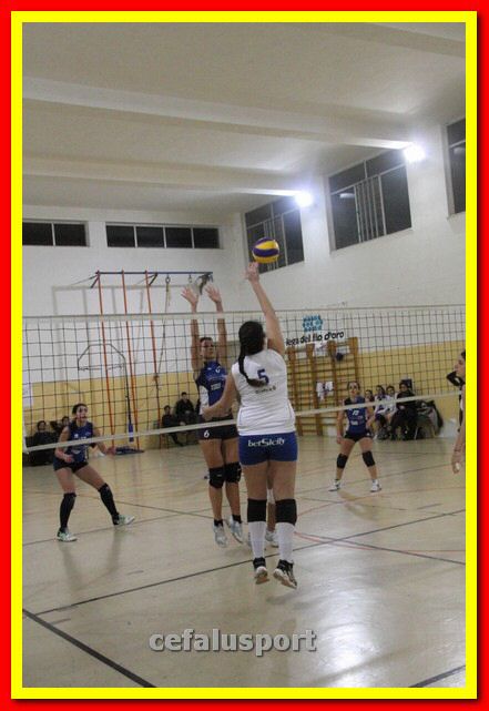 140305 Primula 163_tn.jpg